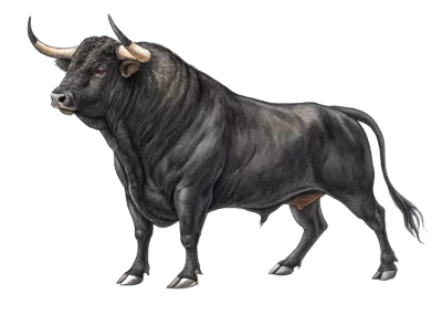 Imagen PNG para descargar